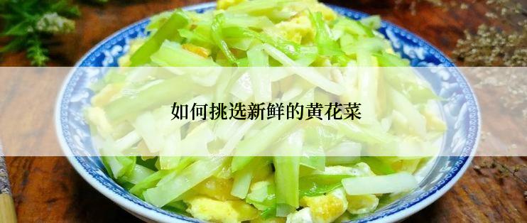  如何挑选新鲜的黄花菜