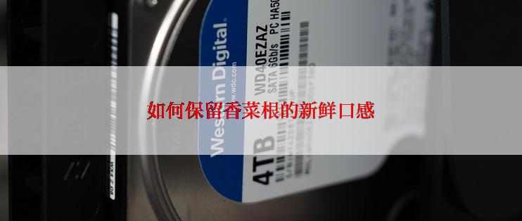 如何保留香菜根的新鲜口感