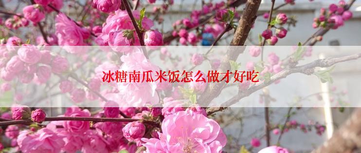 冰糖南瓜米饭怎么做才好吃
