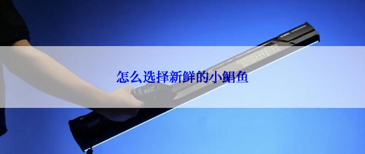 怎么选择新鲜的小鲳鱼