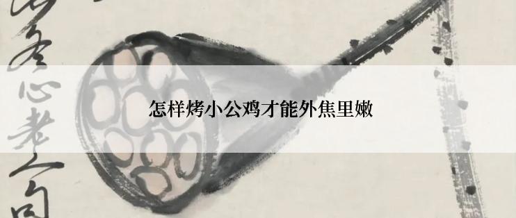  怎样烤小公鸡才能外焦里嫩