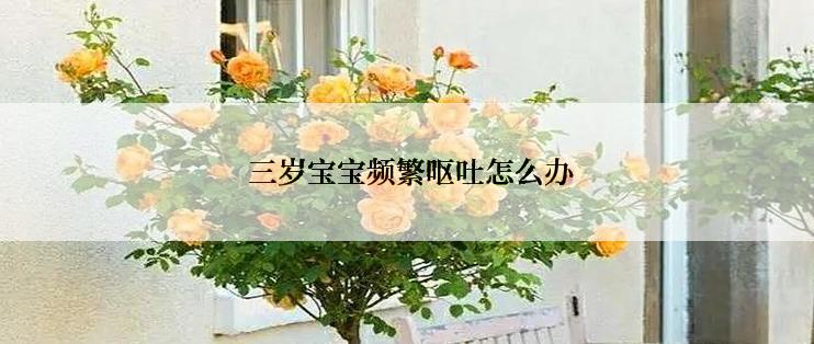  三岁宝宝频繁呕吐怎么办