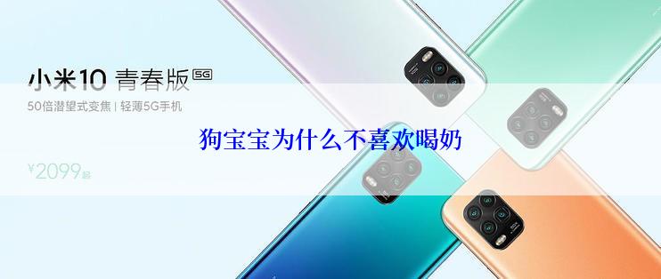 狗宝宝为什么不喜欢喝奶