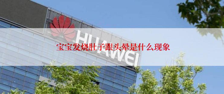  宝宝发烧肚子跟头晕是什么现象