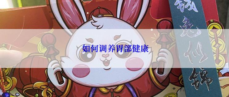  如何调养胃部健康