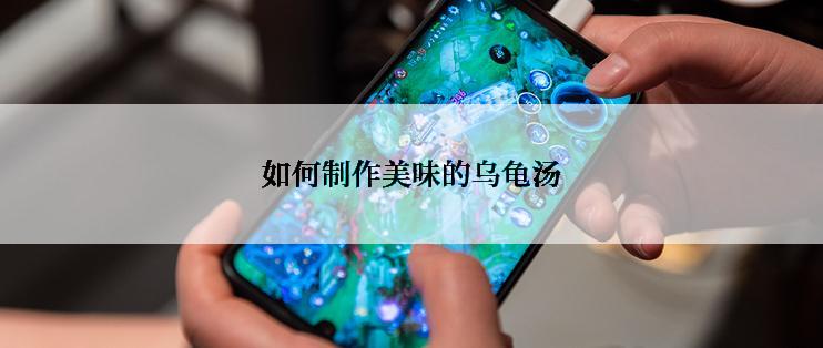 如何制作美味的乌龟汤