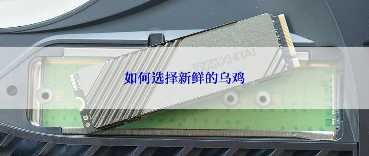 如何选择新鲜的乌鸡