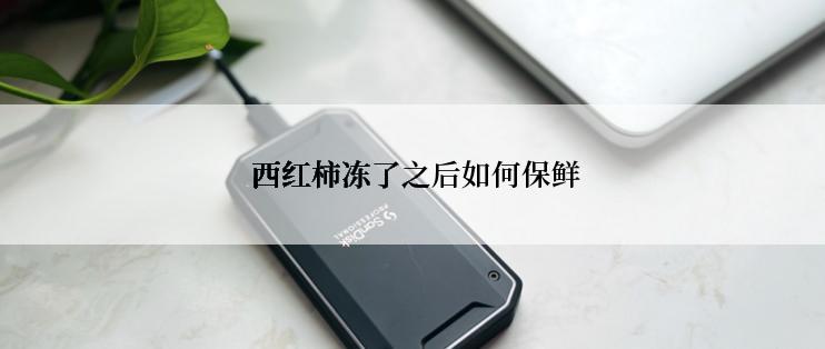  西红柿冻了之后如何保鲜