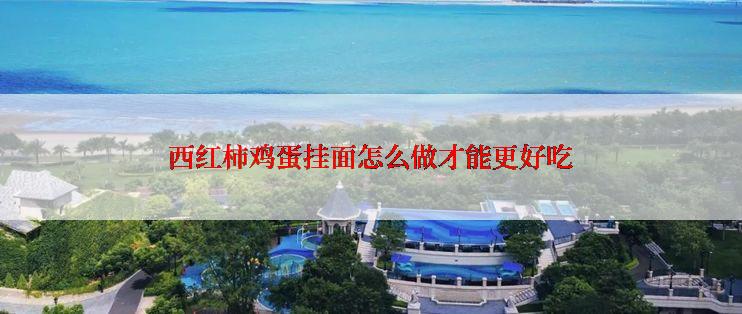 西红柿鸡蛋挂面怎么做才能更好吃