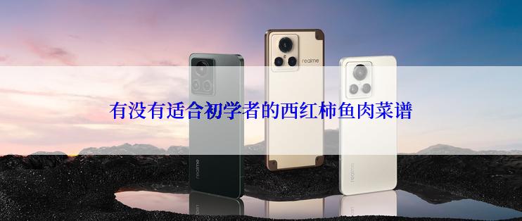 有没有适合初学者的西红柿鱼肉菜谱