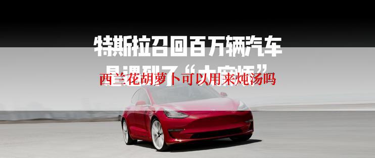 西兰花胡萝卜可以用来炖汤吗