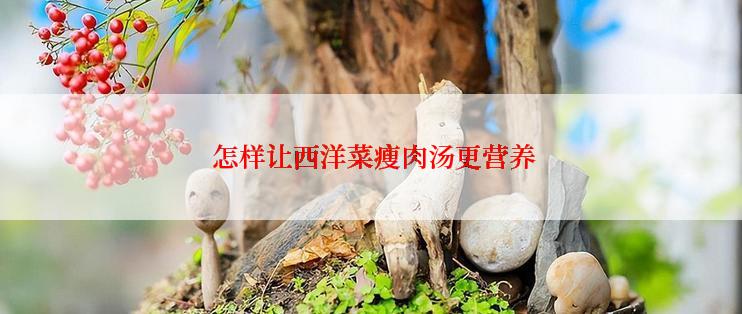 怎样让西洋菜瘦肉汤更营养