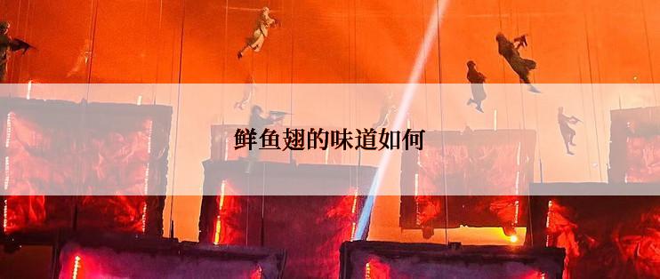 鲜鱼翅的味道如何