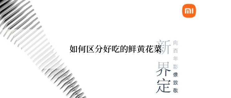 如何区分好吃的鲜黄花菜