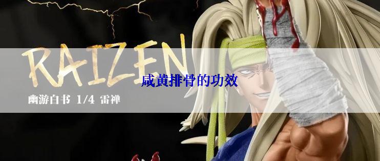 咸黄排骨的功效