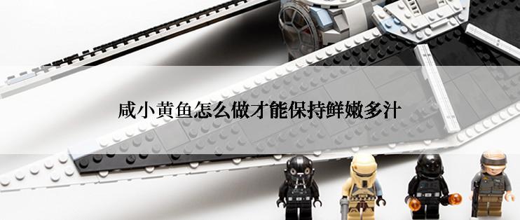 咸小黄鱼怎么做才能保持鲜嫩多汁