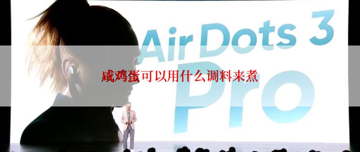 咸鸡蛋可以用什么调料来煮