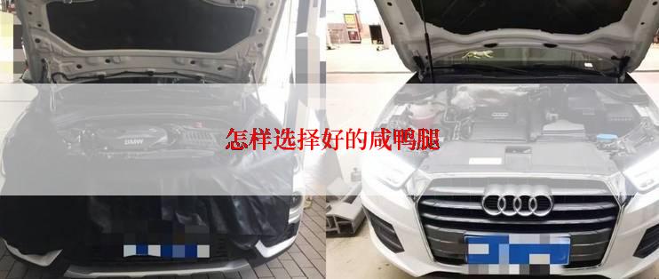  怎样选择好的咸鸭腿