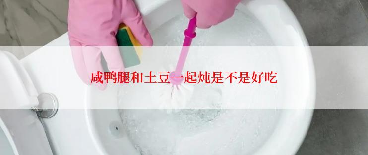 咸鸭腿和土豆一起炖是不是好吃