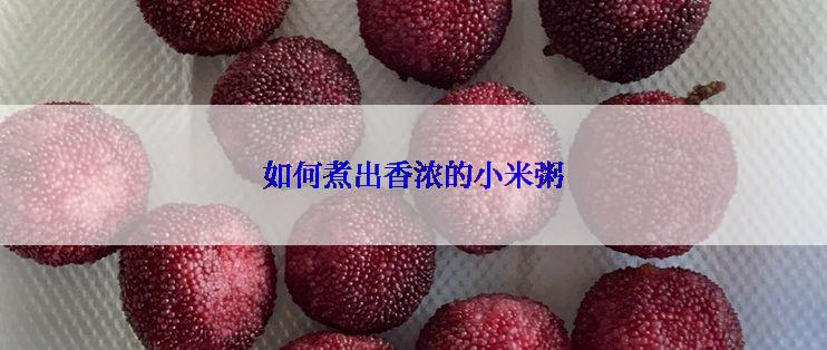 如何煮出香浓的小米粥