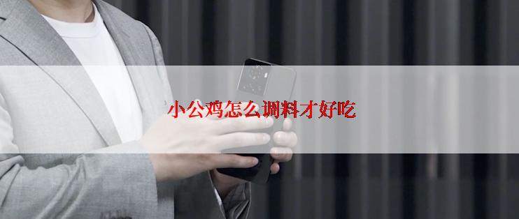  小公鸡怎么调料才好吃