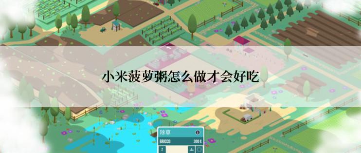 小米菠萝粥怎么做才会好吃