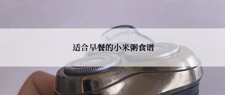  适合早餐的小米粥食谱