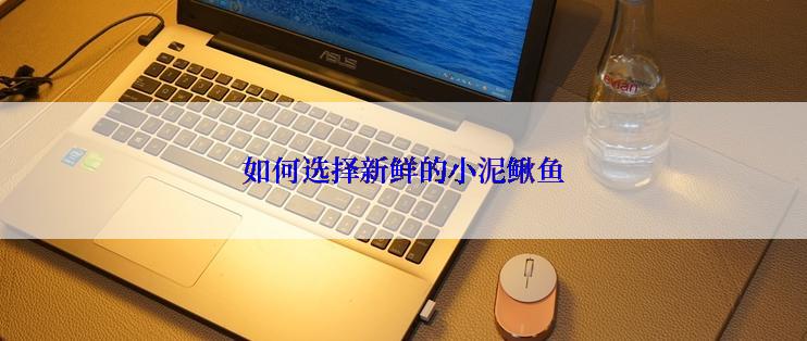 如何选择新鲜的小泥鳅鱼