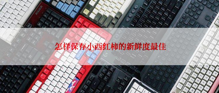  怎样保存小西红柿的新鲜度最佳