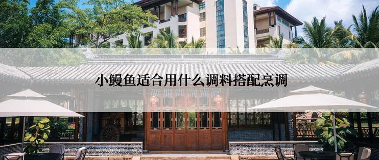  小鳗鱼适合用什么调料搭配烹调