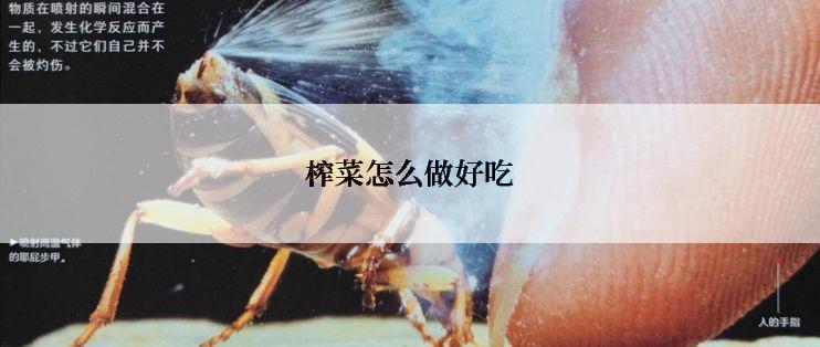 榨菜怎么做好吃