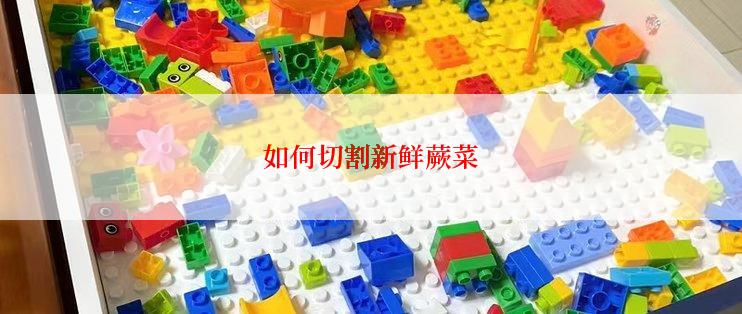如何切割新鲜蕨菜