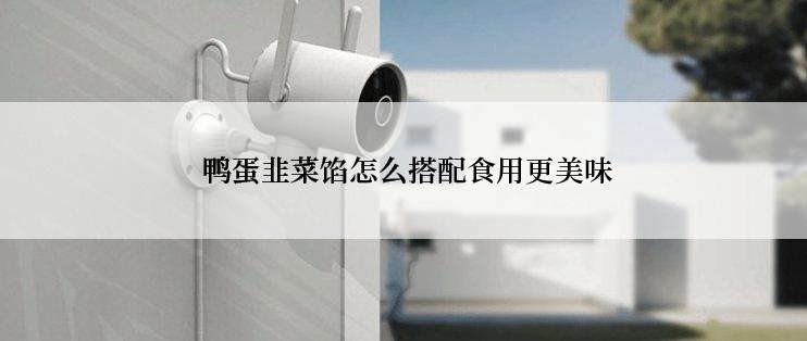  鸭蛋韭菜馅怎么搭配食用更美味