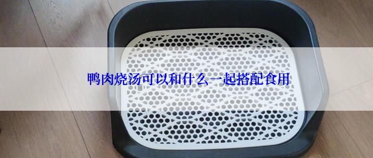  鸭肉烧汤可以和什么一起搭配食用