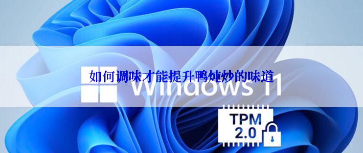 如何调味才能提升鸭炖炒的味道