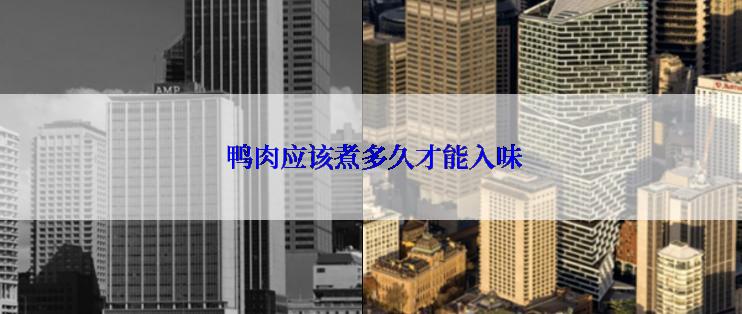  鸭肉应该煮多久才能入味