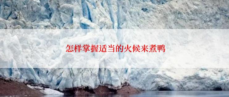  怎样掌握适当的火候来煮鸭