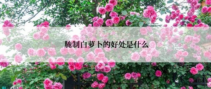  腌制白萝卜的好处是什么