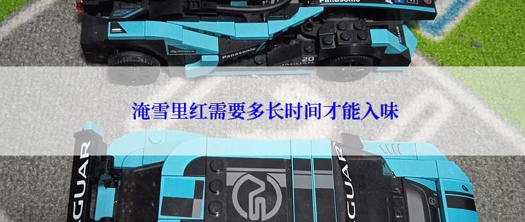  淹雪里红需要多长时间才能入味
