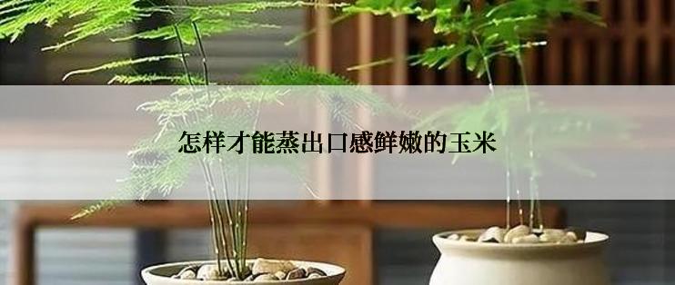 怎样才能蒸出口感鲜嫩的玉米