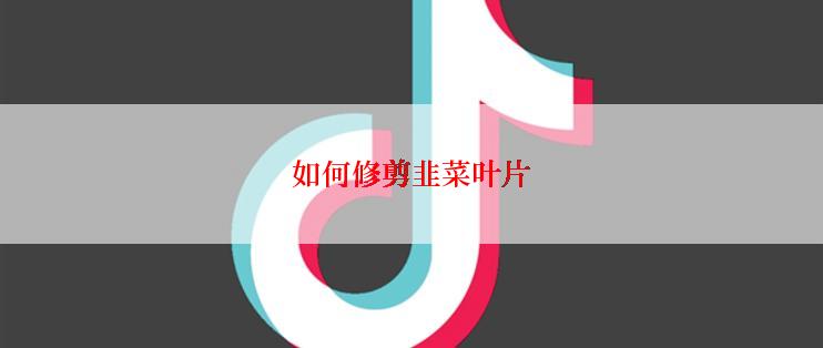 如何修剪韭菜叶片