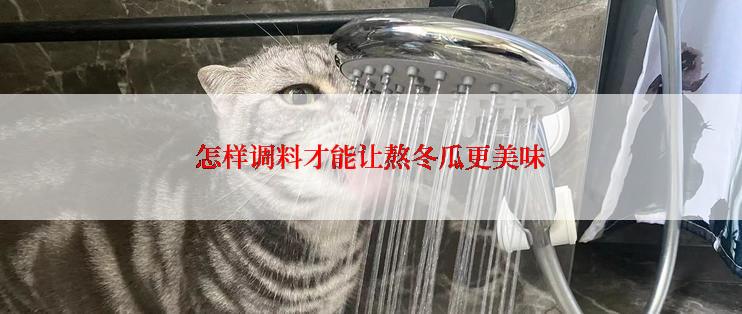 怎样调料才能让熬冬瓜更美味