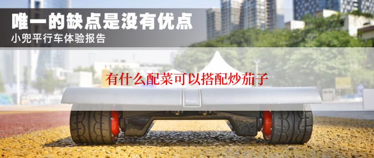 有什么配菜可以搭配炒茄子