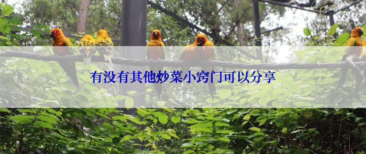 有没有其他炒菜小窍门可以分享