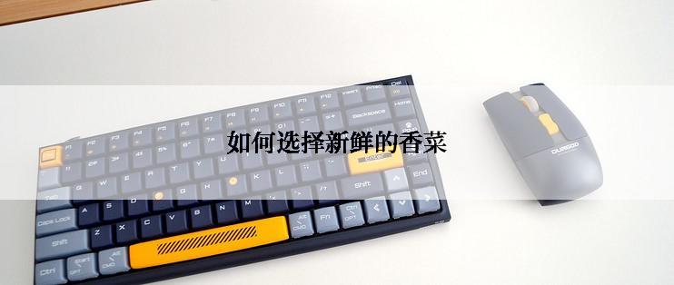 如何选择新鲜的香菜