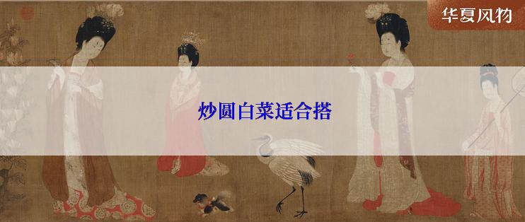  炒圆白菜适合搭