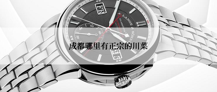 成都哪里有正宗的川菜