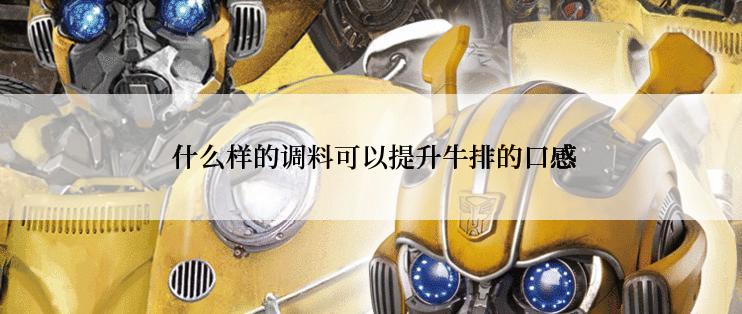  什么样的调料可以提升牛排的口感