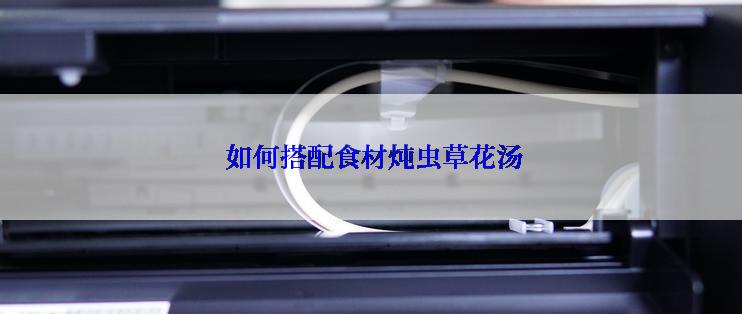  如何搭配食材炖虫草花汤