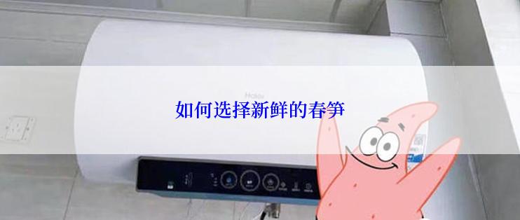 如何选择新鲜的春笋